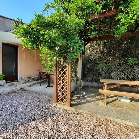 Le Lodge Des Chenes Brousses-et-Villaret Dış mekan fotoğraf