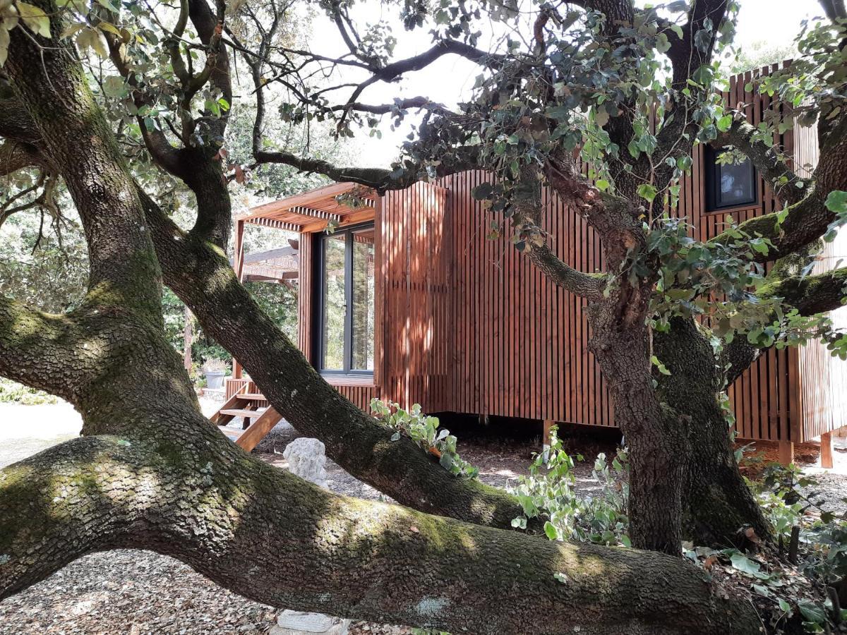 Le Lodge Des Chenes Brousses-et-Villaret Dış mekan fotoğraf