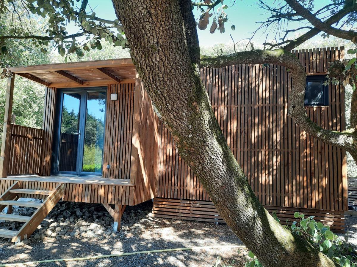 Le Lodge Des Chenes Brousses-et-Villaret Dış mekan fotoğraf