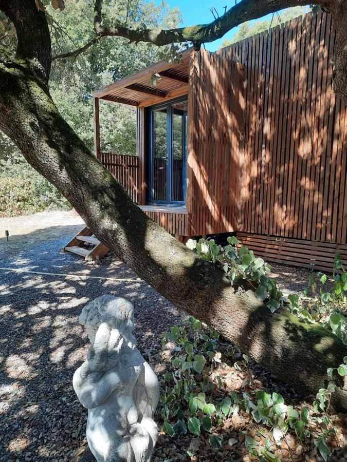 Le Lodge Des Chenes Brousses-et-Villaret Dış mekan fotoğraf