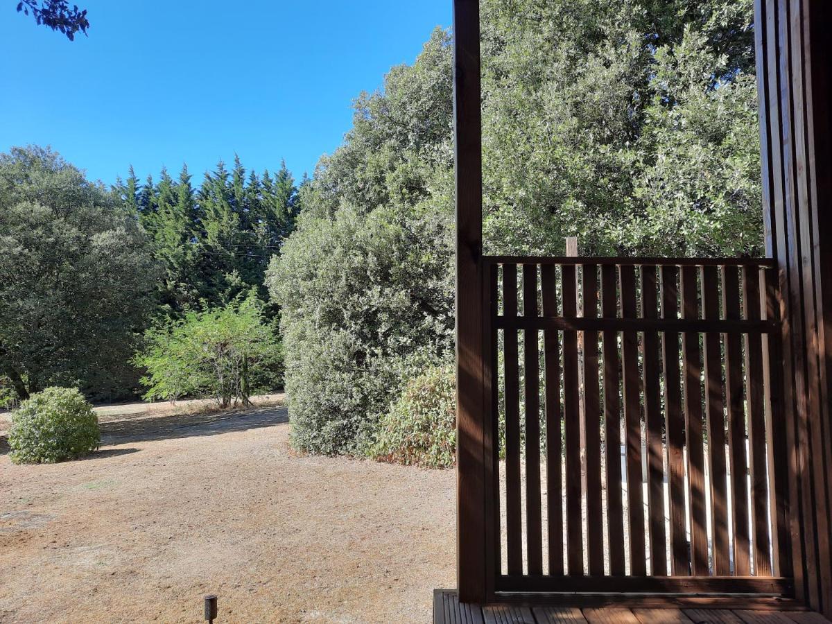 Le Lodge Des Chenes Brousses-et-Villaret Dış mekan fotoğraf