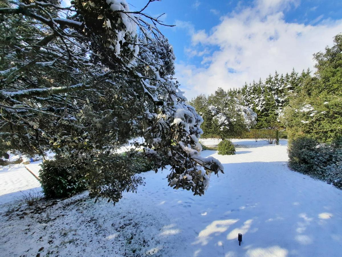 Le Lodge Des Chenes Brousses-et-Villaret Dış mekan fotoğraf