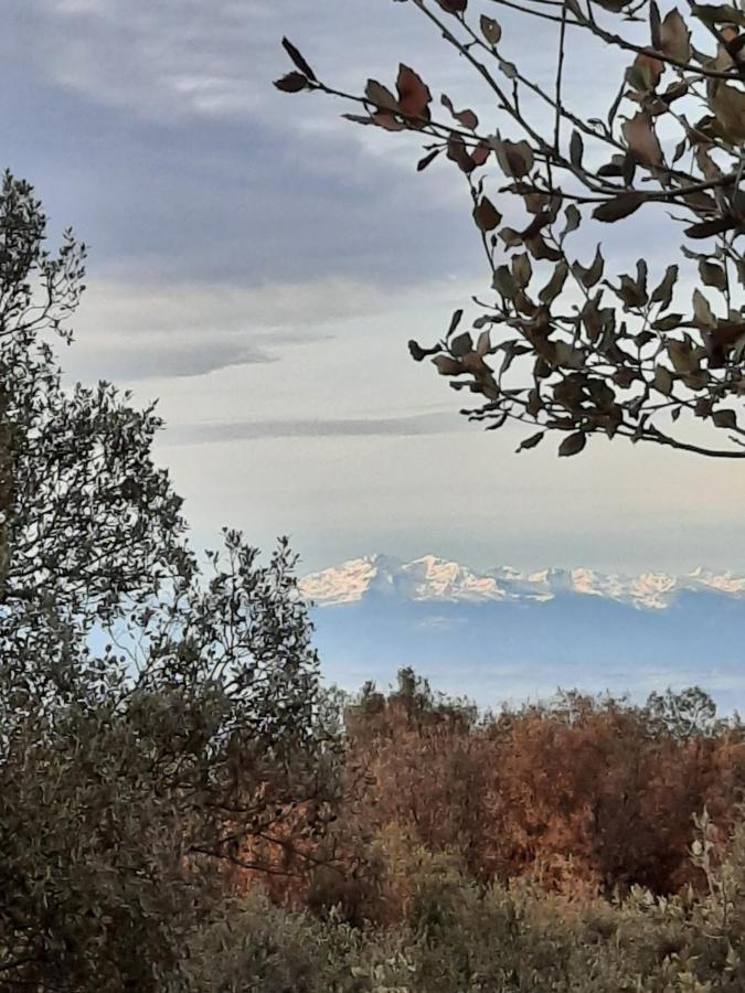 Le Lodge Des Chenes Brousses-et-Villaret Dış mekan fotoğraf